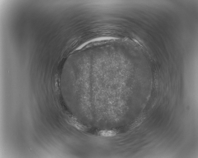 X0000053010169200508051210