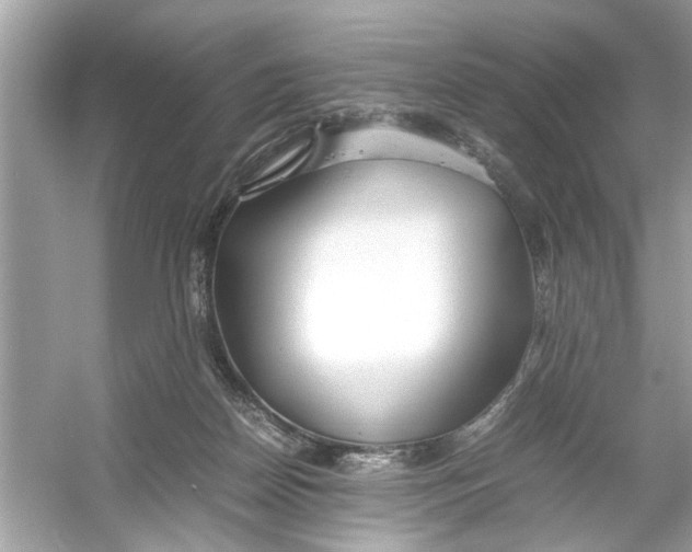 X0000053010170200508051210