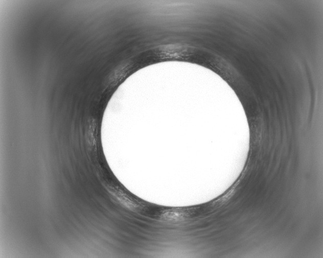 X0000053010174200508051210