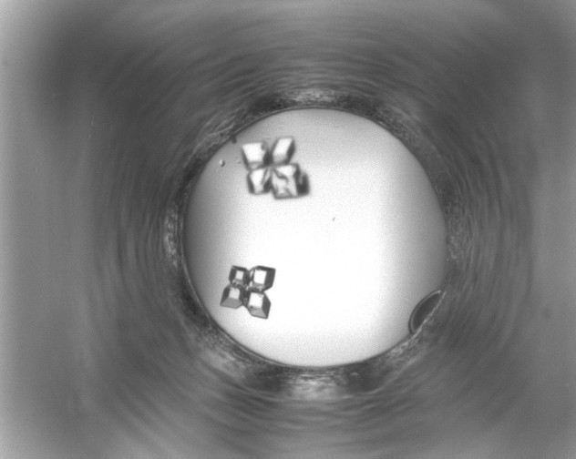 X0000053010175200508051210