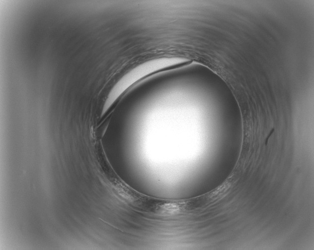 X0000053010176200508051210