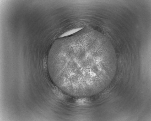 X0000053010177200508051210