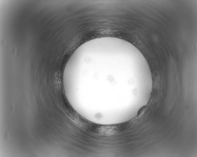 X0000053010179200508051210