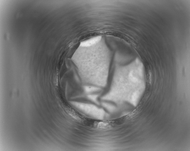 X0000053010180200508051210