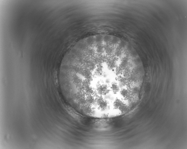 X0000053010182200508051210