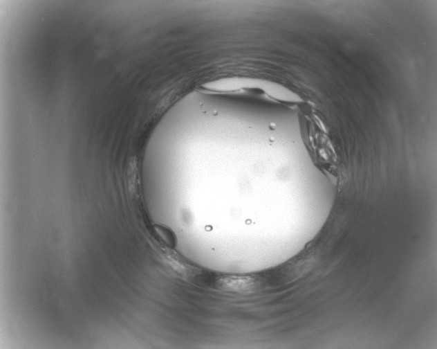 X0000053010189200508051210