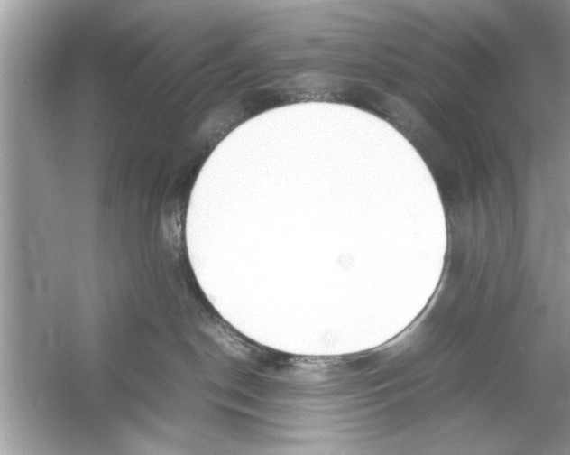 X0000053010190200508051210