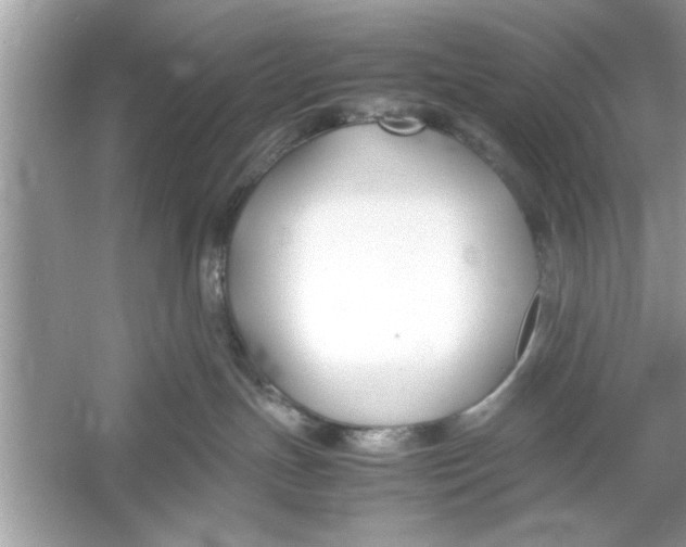 X0000053010191200508051210