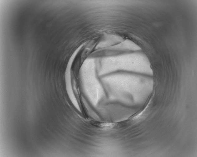 X0000053010192200508051210