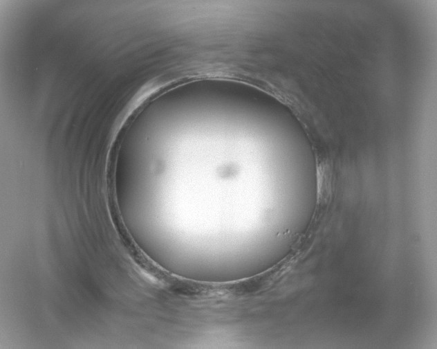 X0000053010195200508051209