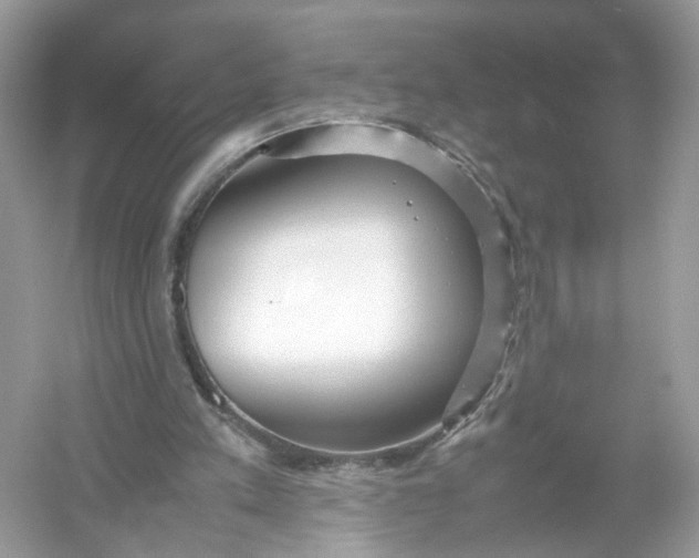 X0000053010197200508051209