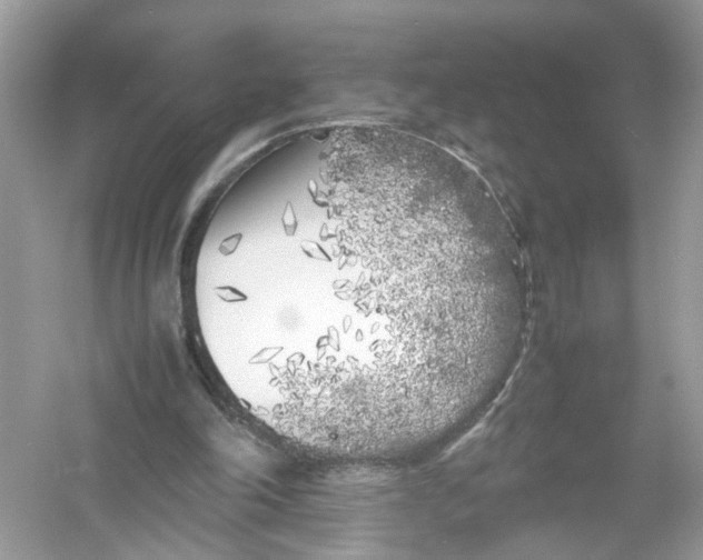 X0000053010198200508051209