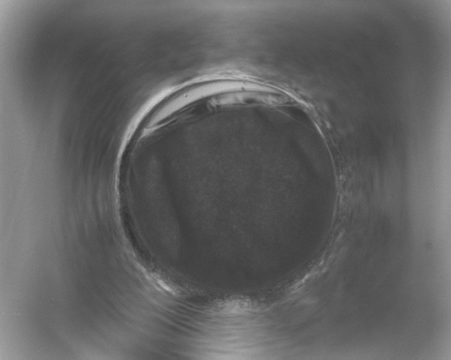 X0000053010200200508051209