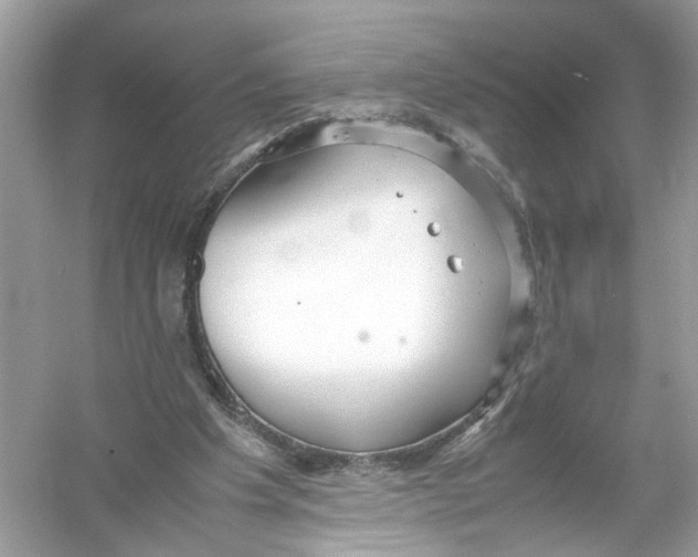 X0000053010201200508051209