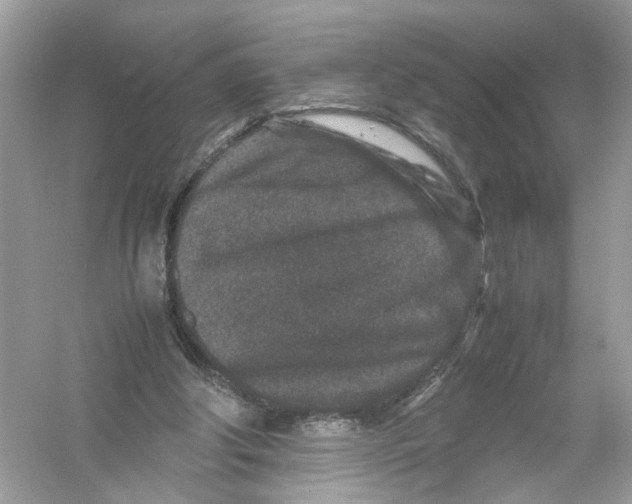 X0000053010202200508051209