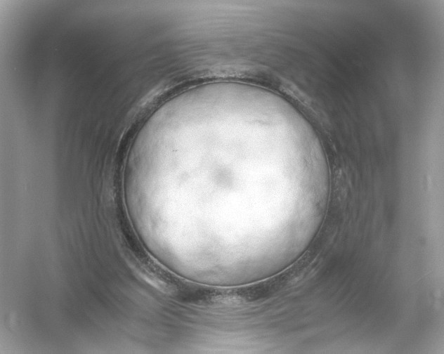 X0000053010203200508051209