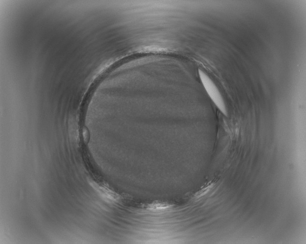 X0000053010204200508051209