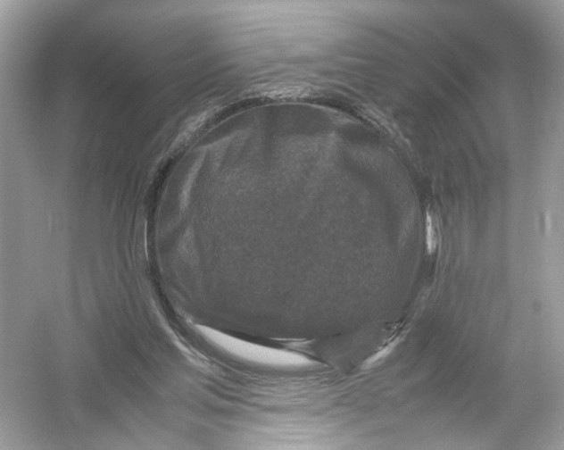 X0000053010205200508051209