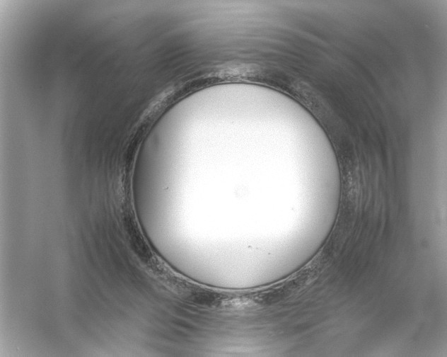 X0000053010208200508051209