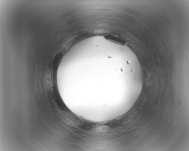 X0000053010210200508051209