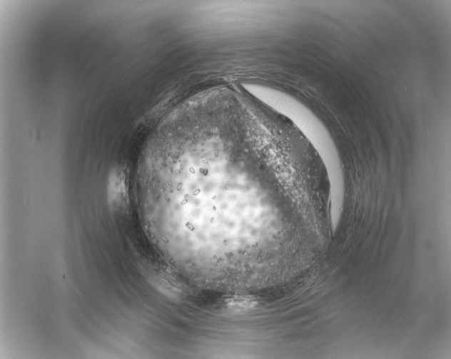 X0000053010214200508051209