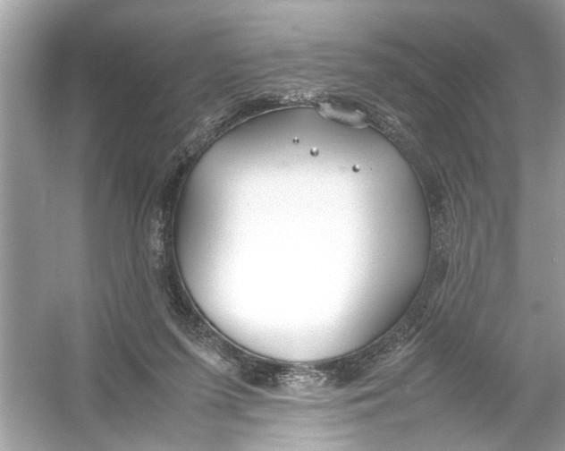 X0000053010215200508051209