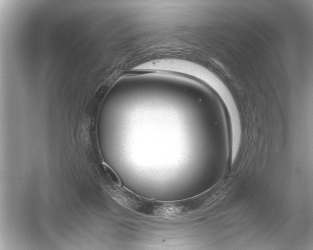 X0000053010217200508051209