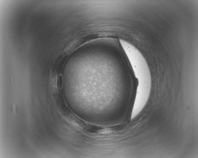 X0000053010219200508051209