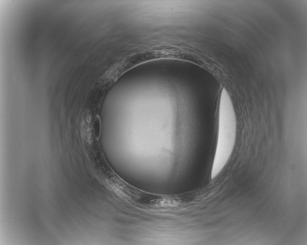 X0000053010223200508051209