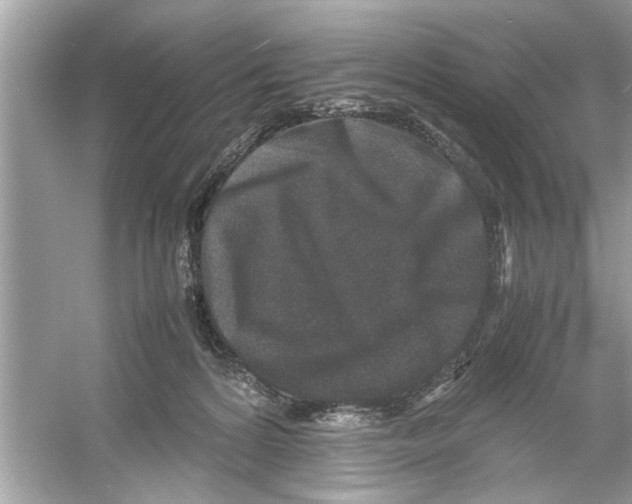 X0000053010224200508051209