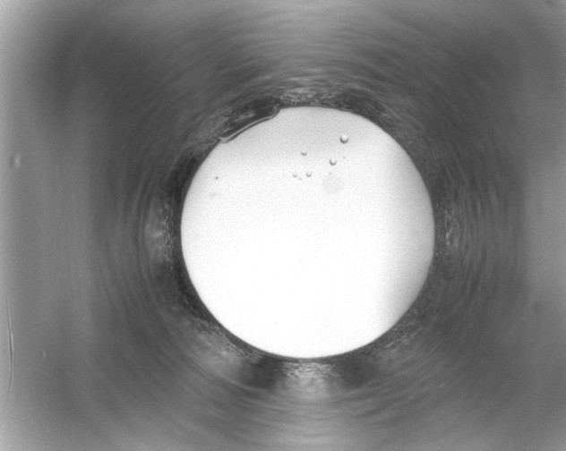 X0000053010226200508051209