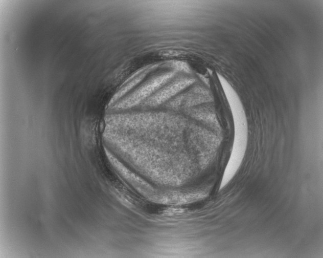 X0000053010227200508051209