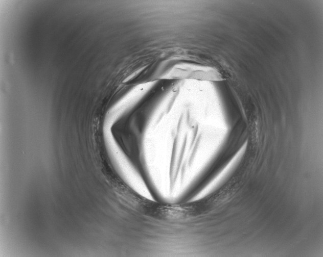 X0000053010229200508051209