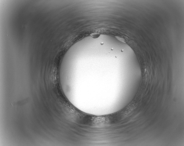 X0000053010230200508051209