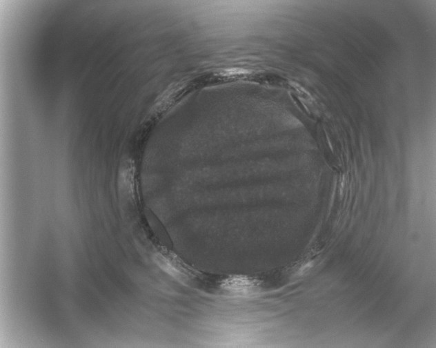 X0000053010231200508051209