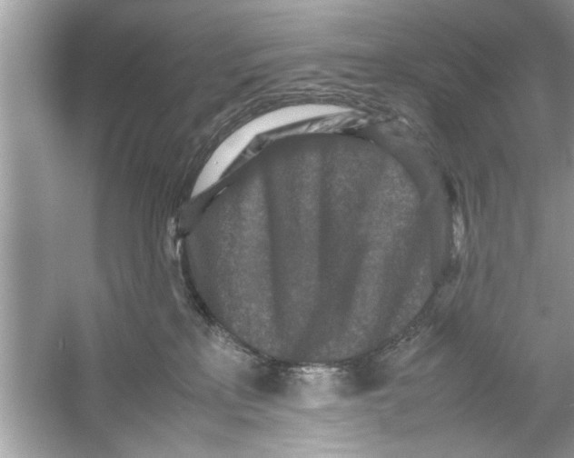 X0000053010233200508051208