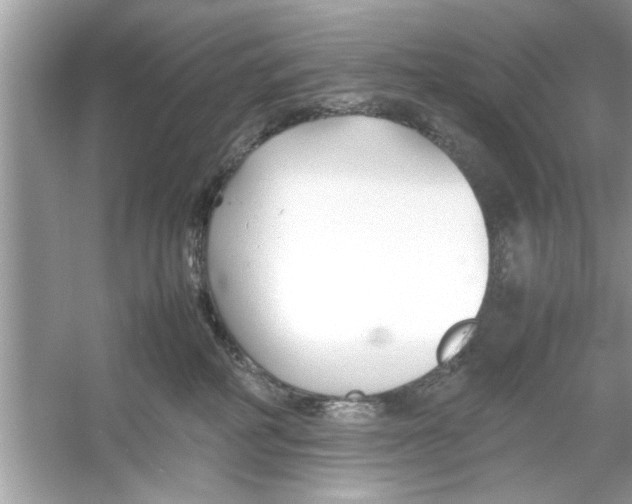 X0000053010234200508051208