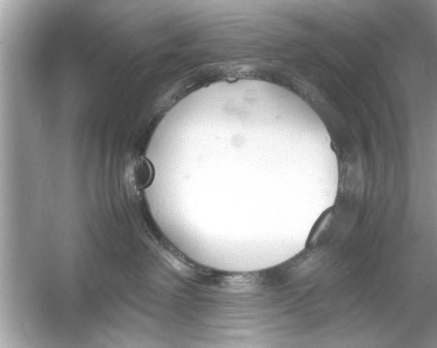 X0000053010238200508051208