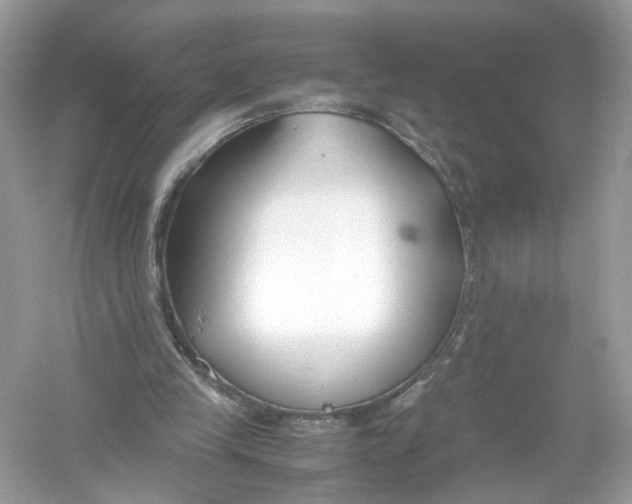 X0000053010245200508051208