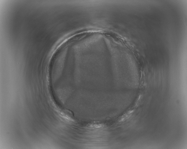 X0000053010247200508051208