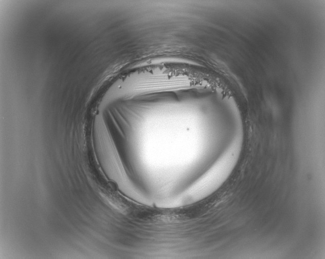 X0000053010250200508051208