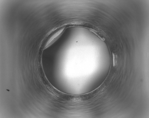 X0000053010252200508051208