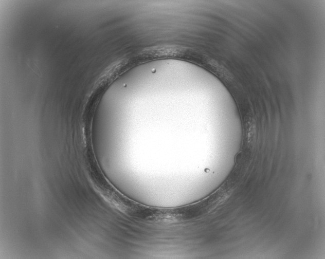 X0000053010254200508051208