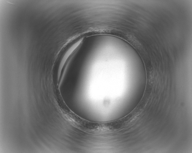 X0000053010256200508051208