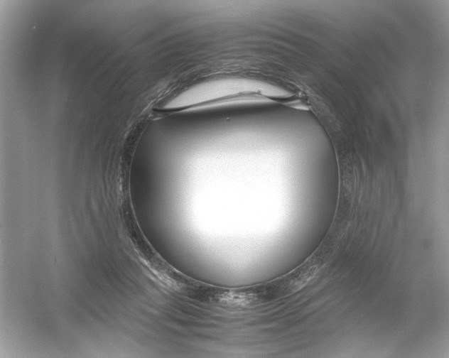 X0000053010261200508051208