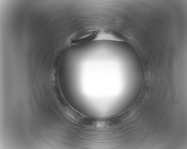 X0000053010264200508051208