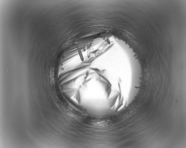 X0000053010267200508051208