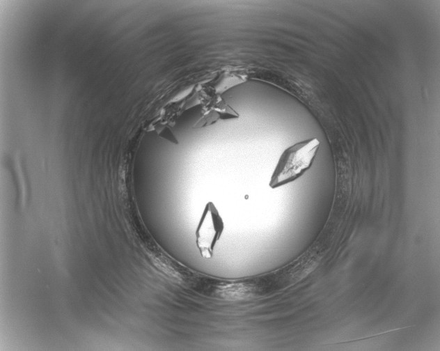 X0000053010269200508051208