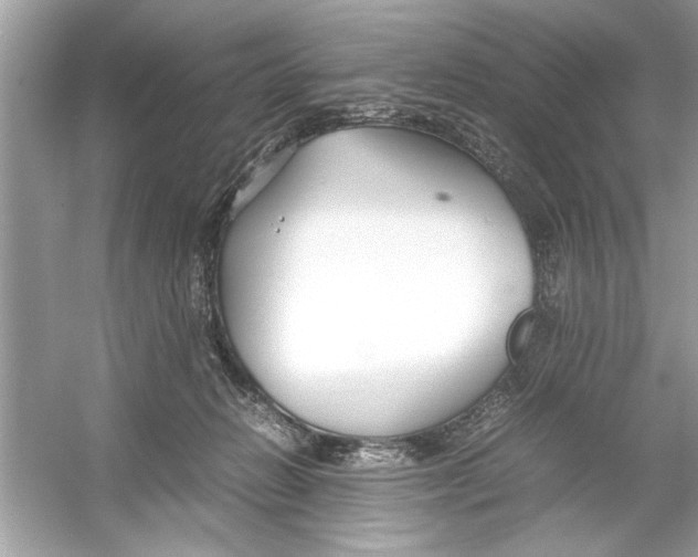 X0000053010270200508051208