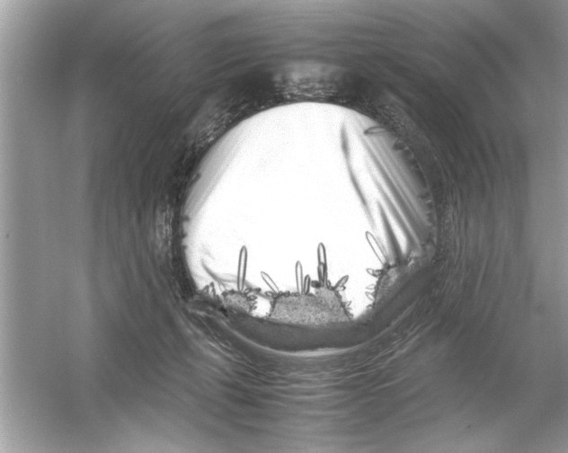 X0000053010271200508051208